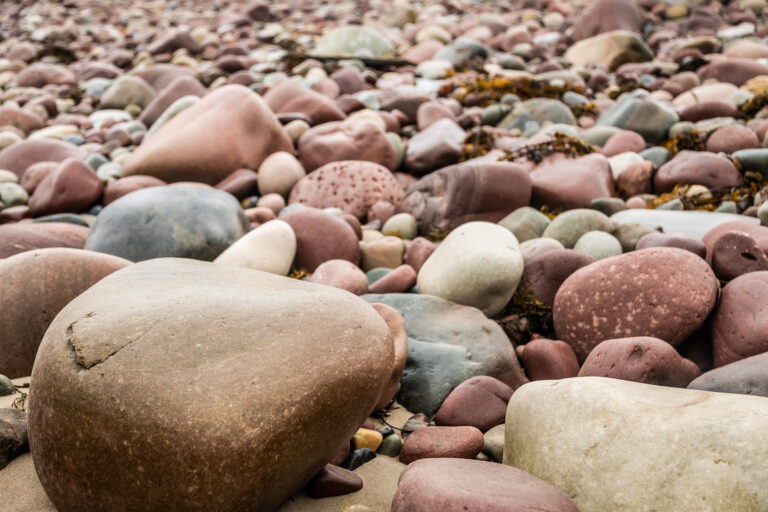 Francis Tully photos (115)