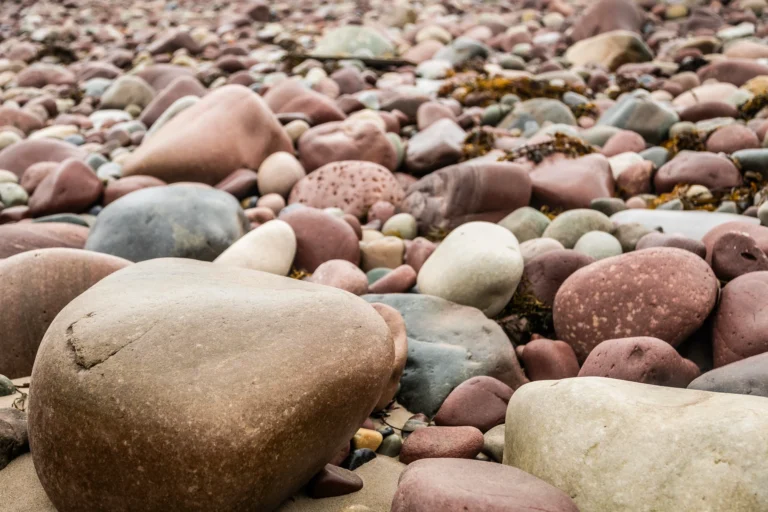 Francis Tully photos (115)_compressed