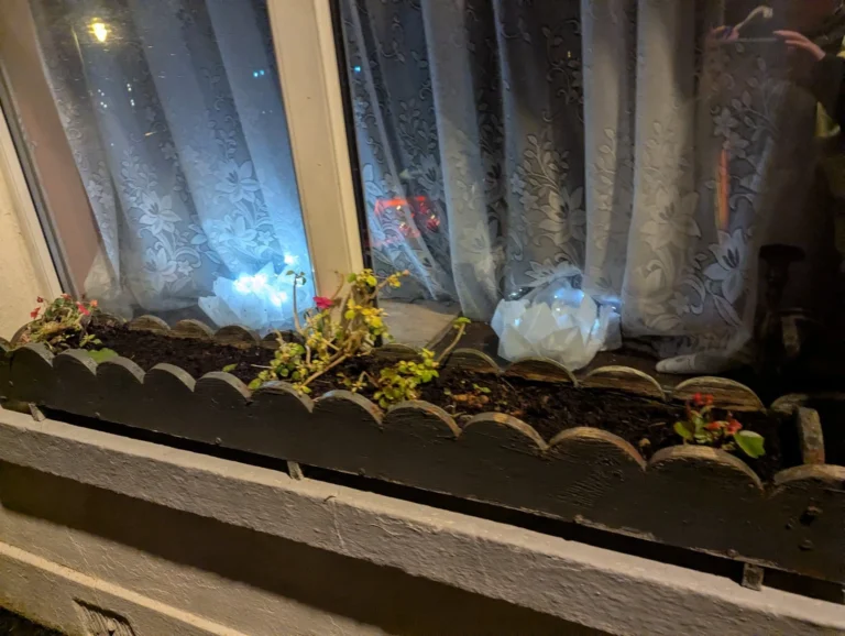 Lantern Walk 12_compressed