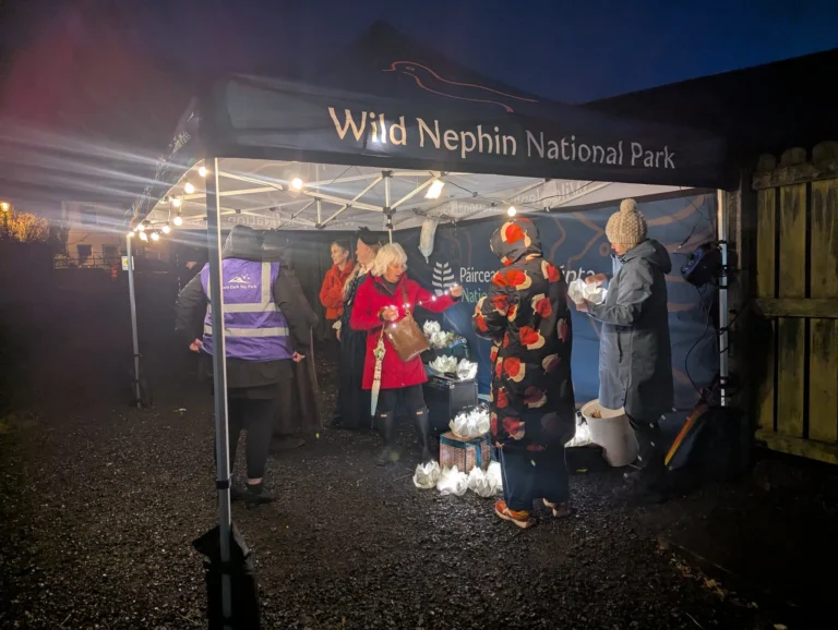 Lantern Walk 5_compressed