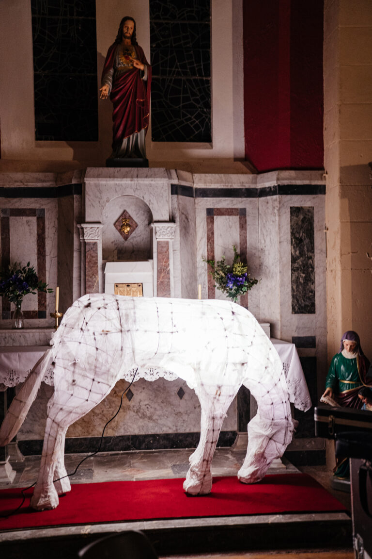 Lantern Walk & Kila Concert (25)