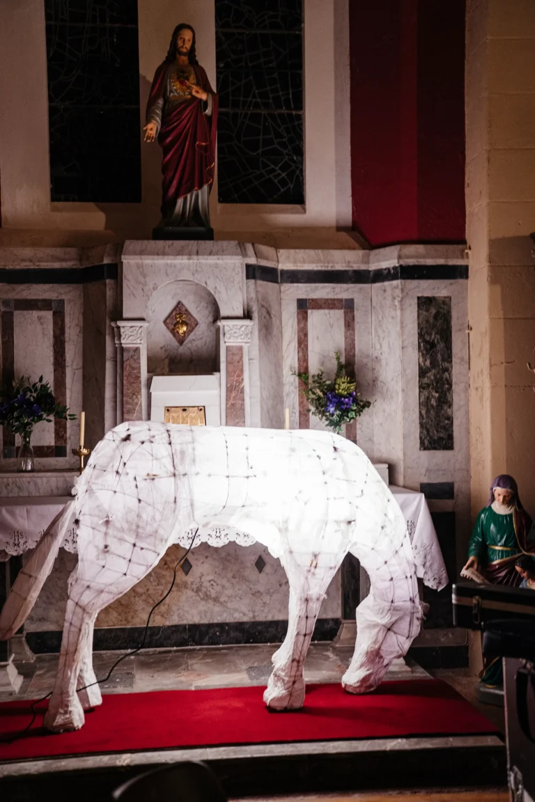 Lantern Walk & Kila Concert (25)_compressed