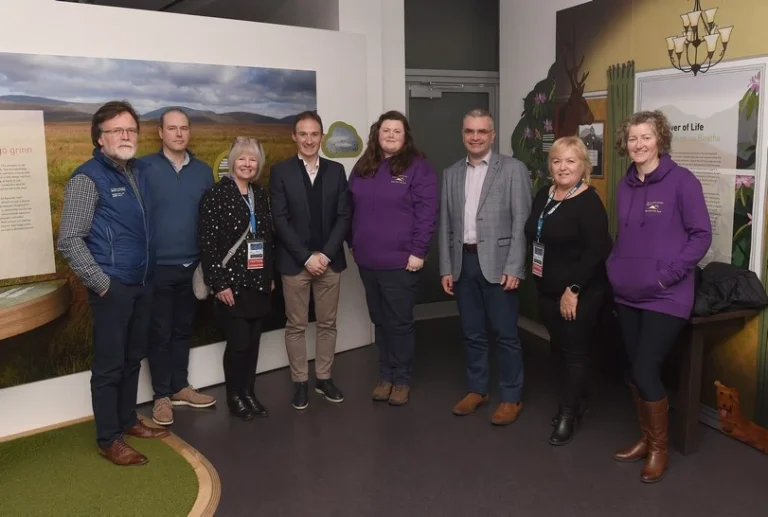 Skies C_0990 (Copy)_compressed