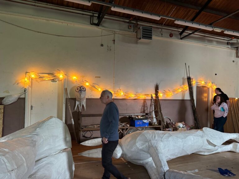 Volunteer Info Day (1)