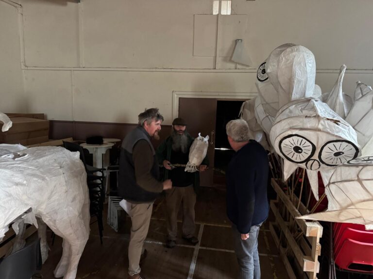 Volunteer Info Day (7)