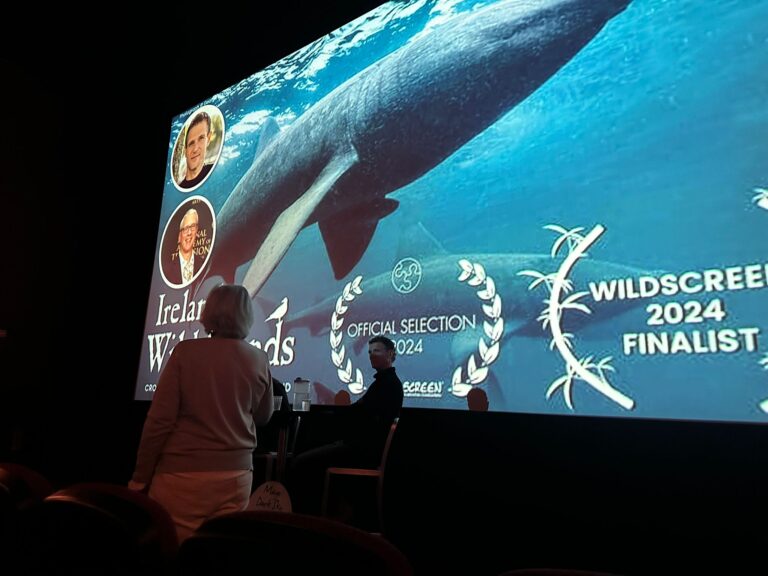 W Cinema 16 August 2025 (5)