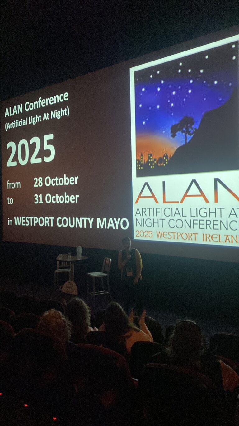 W Cinema Aug 2025 (20)