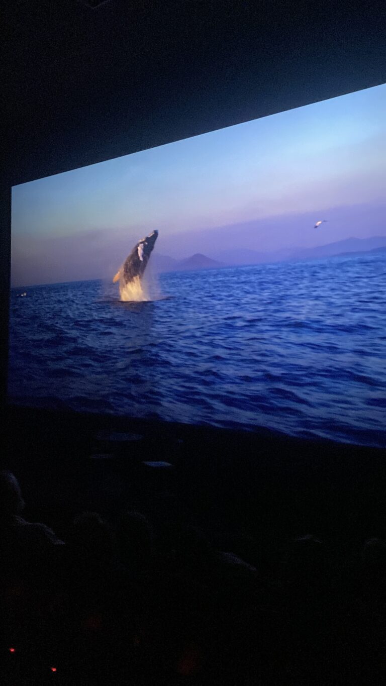 W Cinema Aug 2025 (26)