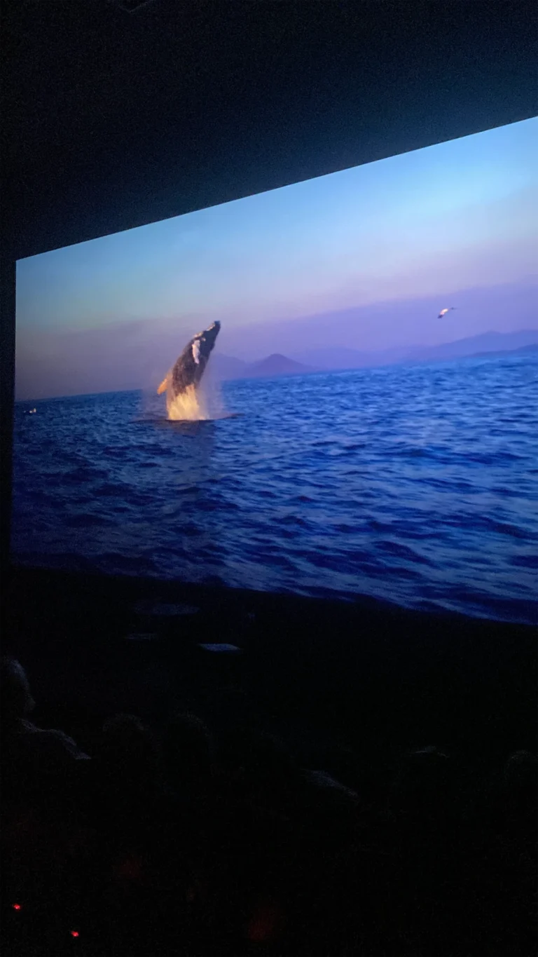 W Cinema Aug 2025 (26)_compressed