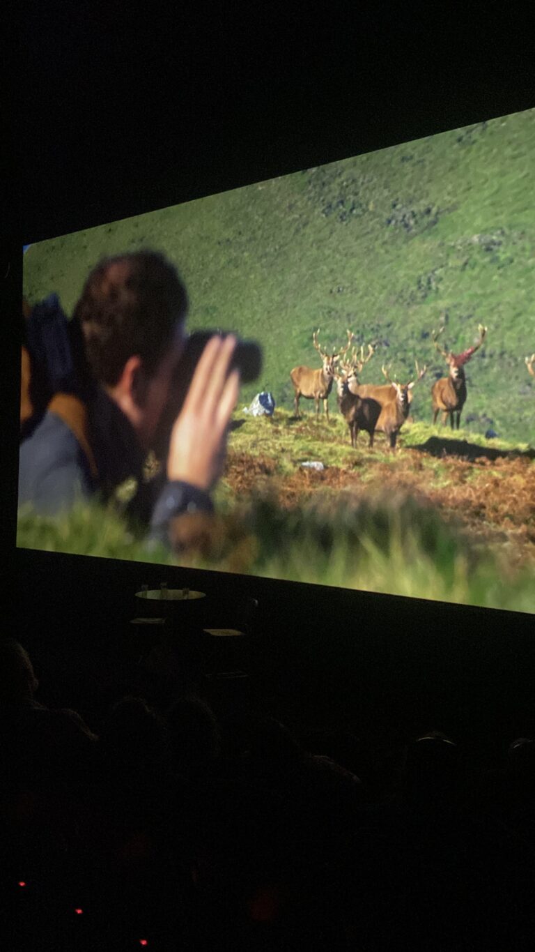 W Cinema Aug 2025 (32)