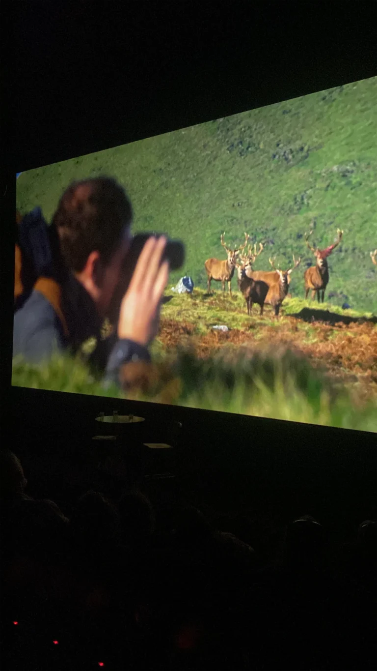 W Cinema Aug 2025 (32)_compressed