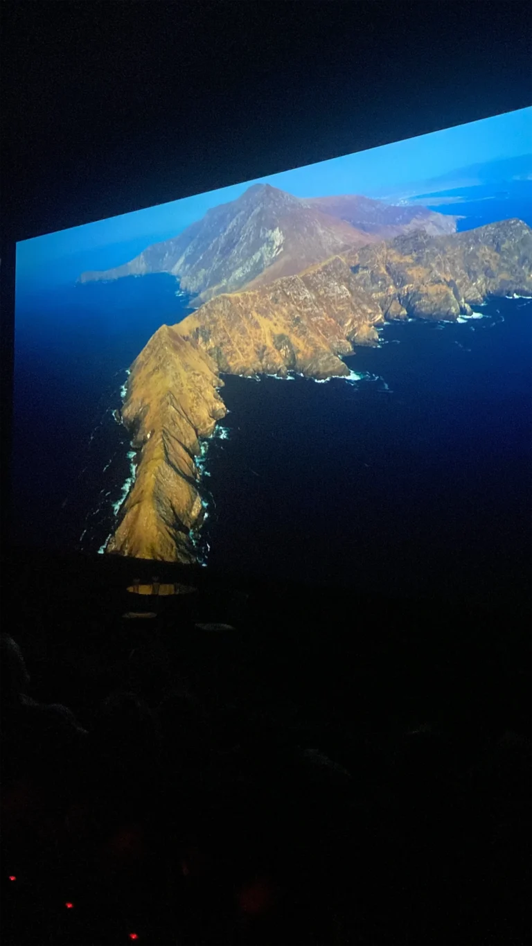 W Cinema Aug 2025 (33)_compressed