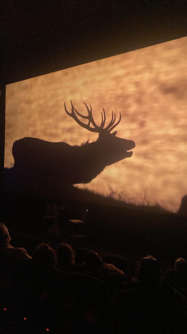 W Cinema Aug 2025 (35)