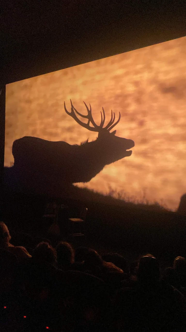 W Cinema Aug 2025 (35)_compressed