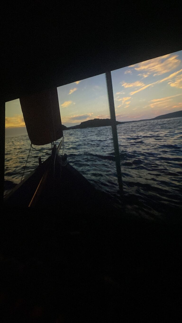 W Cinema Aug 2025 (38)