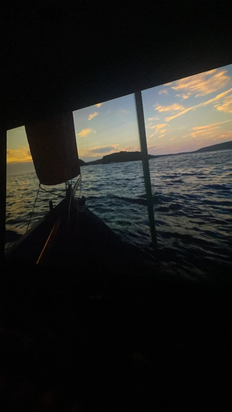 W Cinema Aug 2025 (38)_compressed