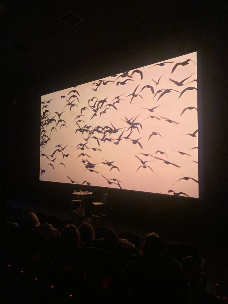 W Cinema Aug 2025 (39)