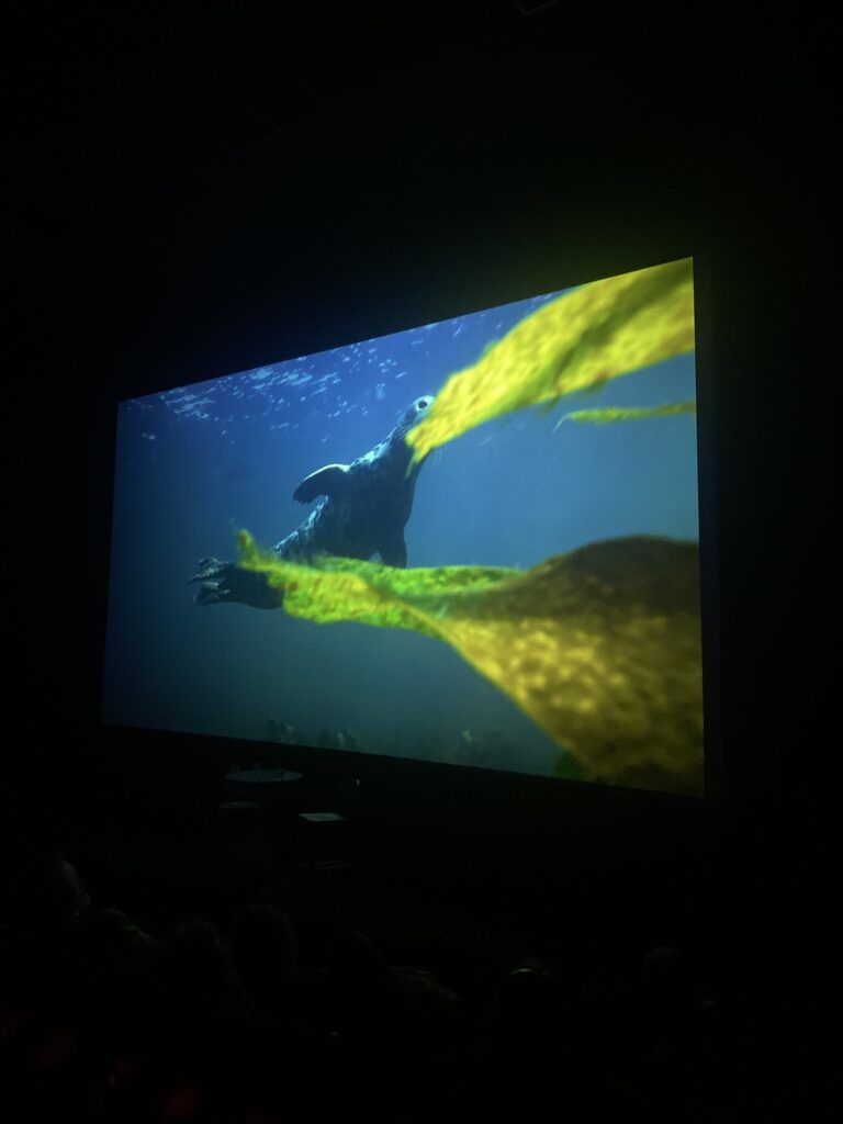 W Cinema Aug 2025 (42)