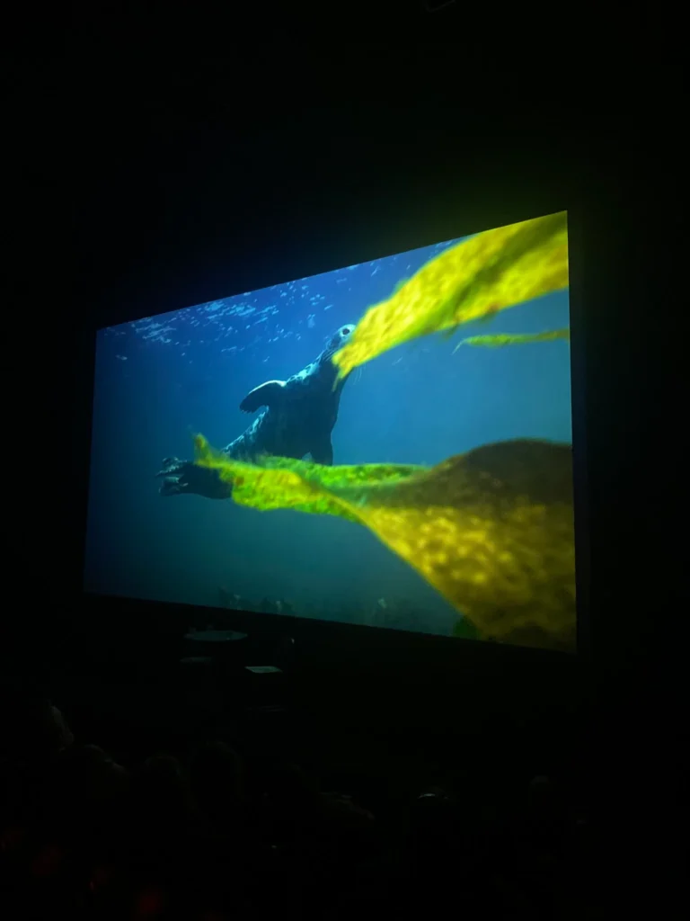 W Cinema Aug 2025 (42)_compressed