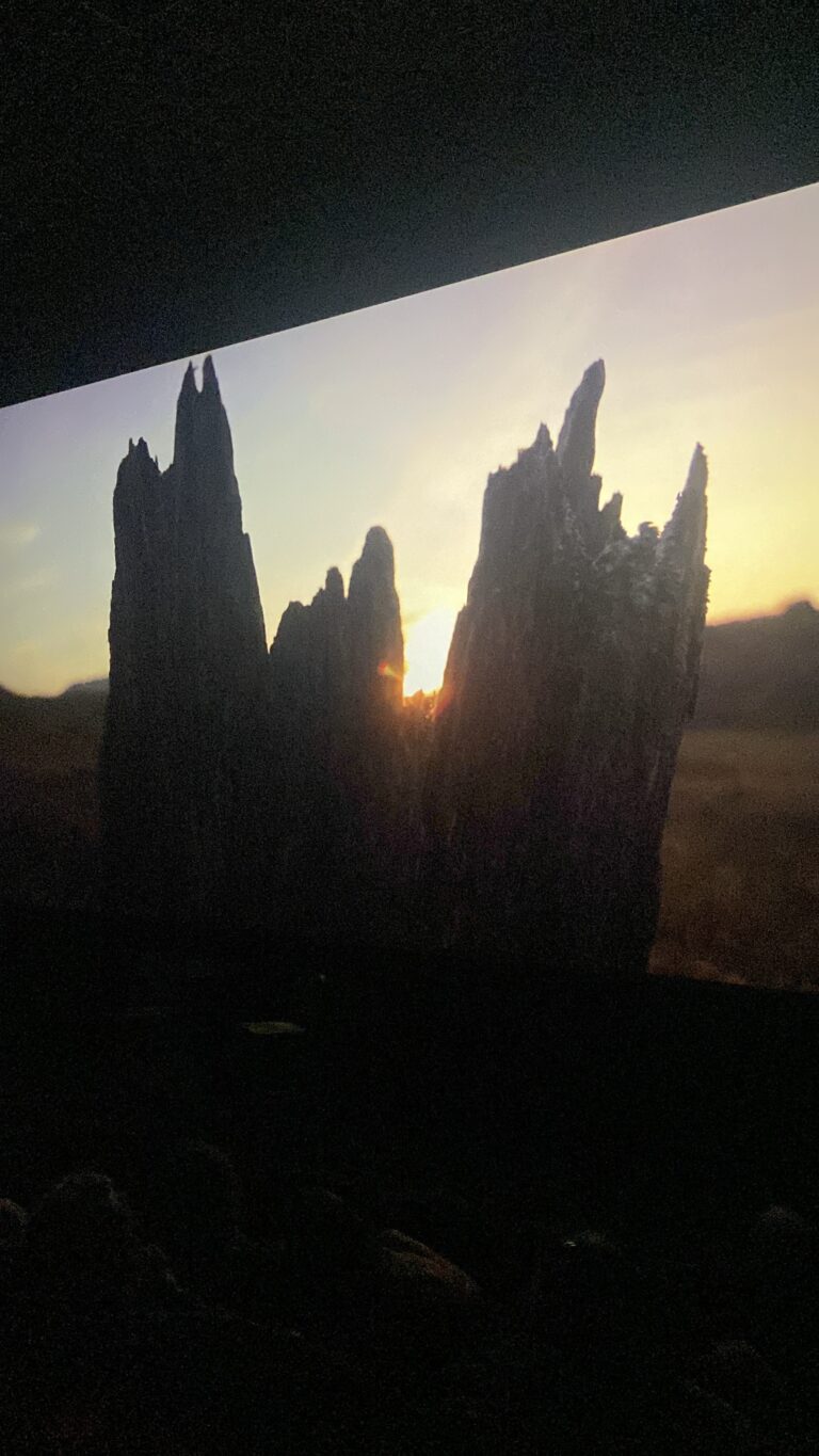 W Cinema Aug 2025 (46)