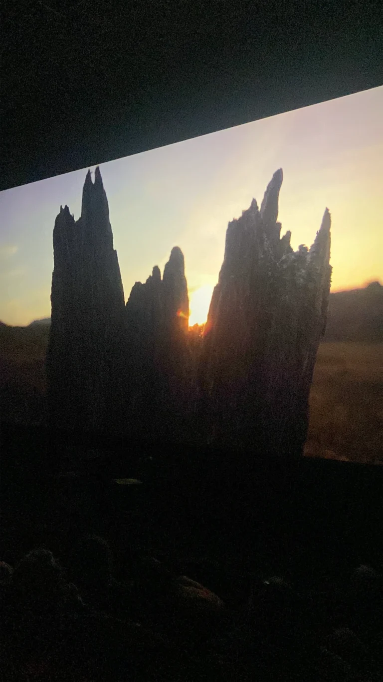 W Cinema Aug 2025 (46)_compressed