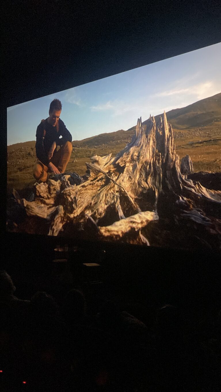 W Cinema Aug 2025 (47)