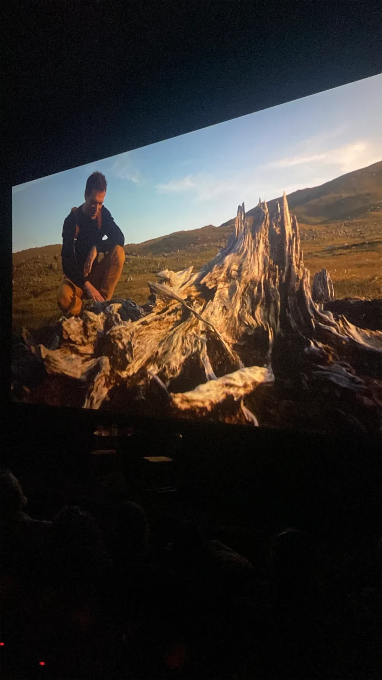 W Cinema Aug 2025 (47)_compressed