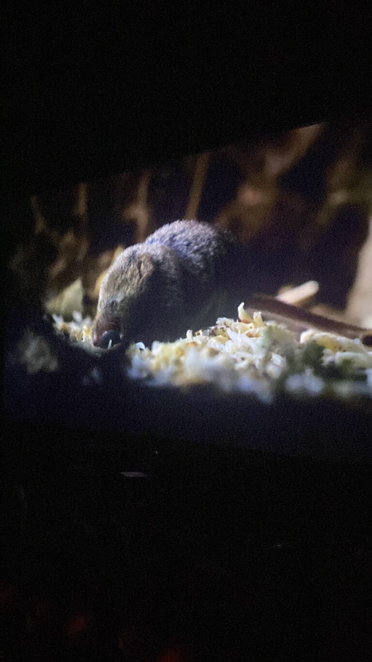 W Cinema Aug 2025 (49)