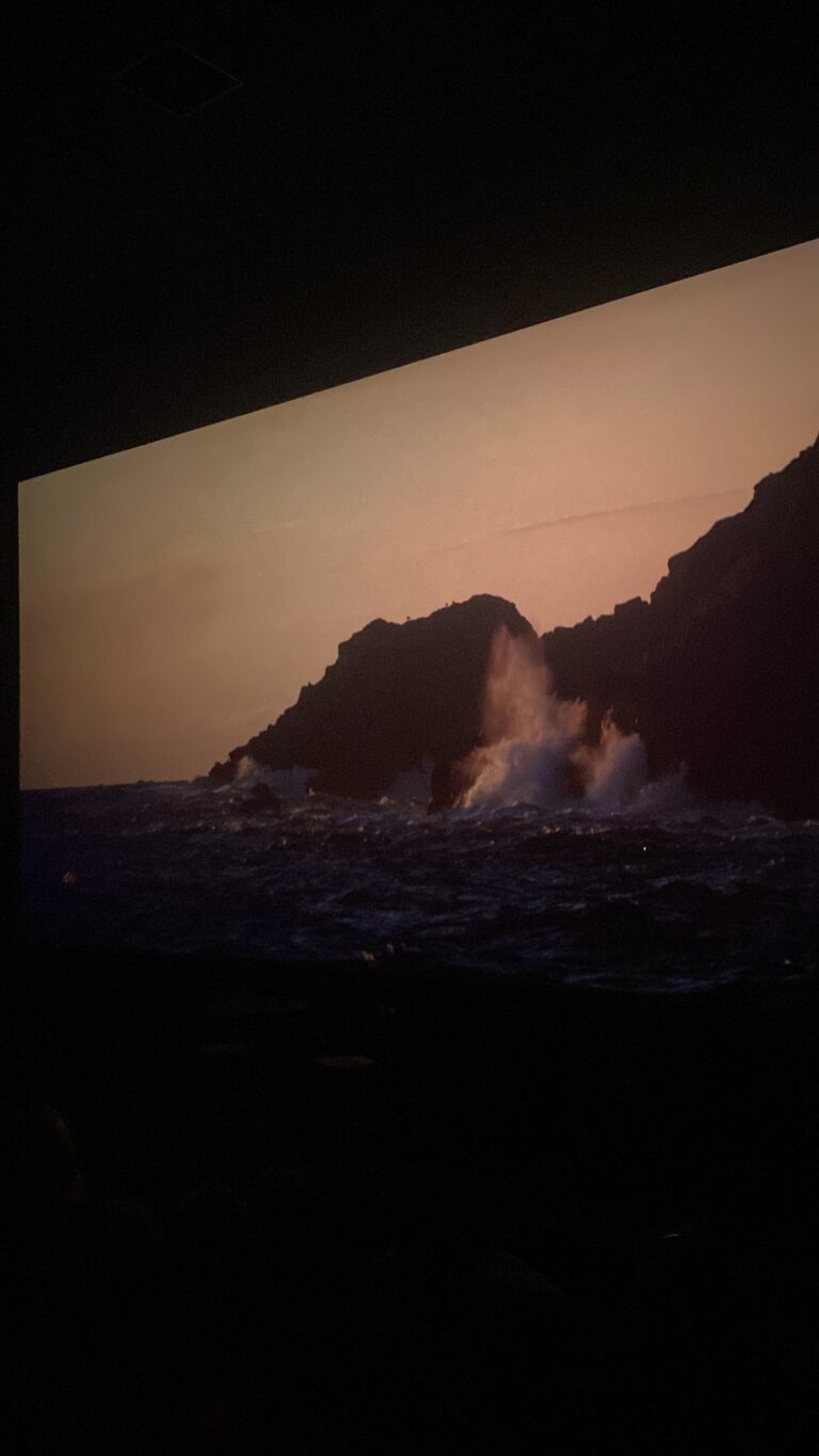 W Cinema Aug 2025 (52)