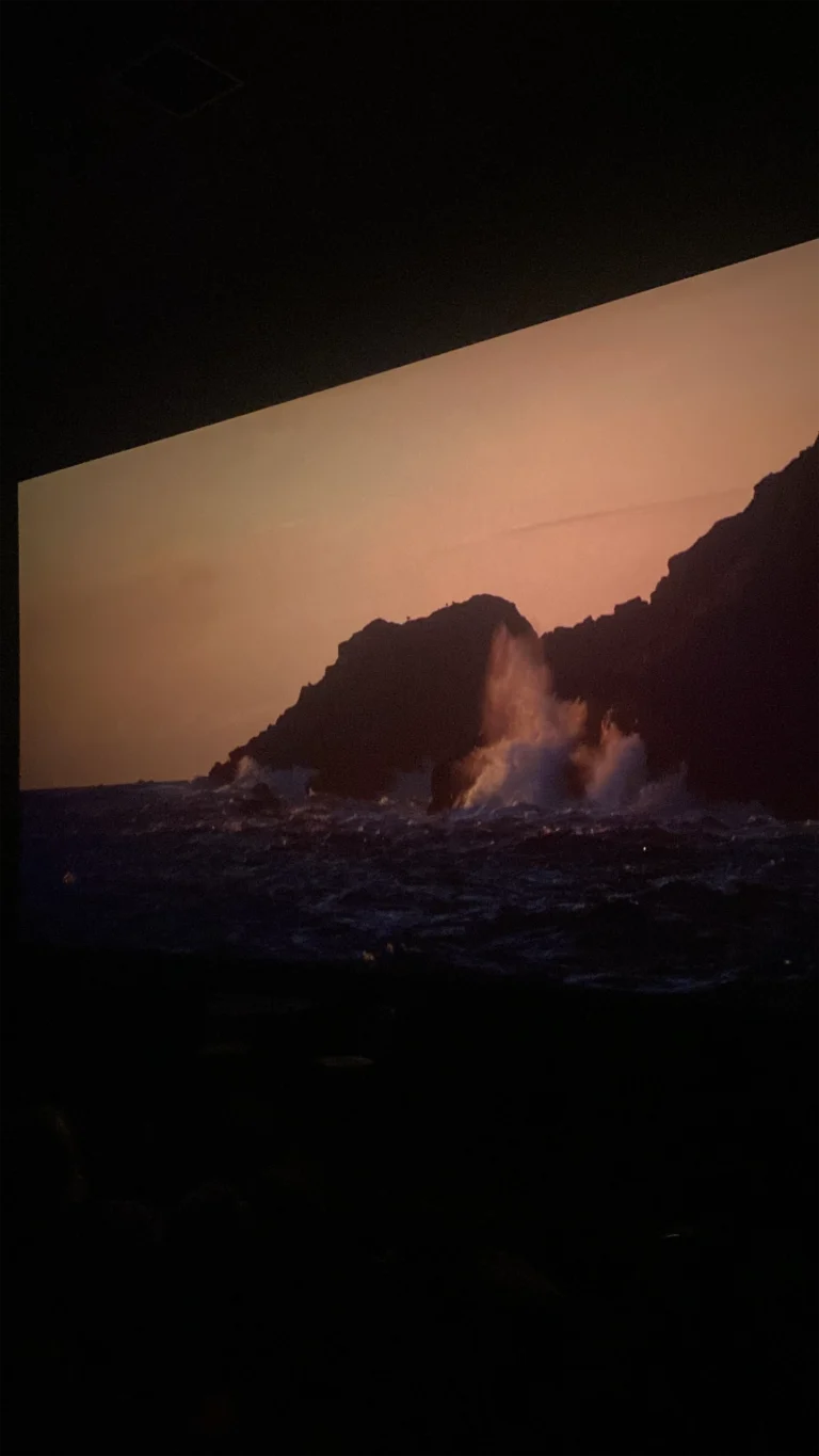 W Cinema Aug 2025 (52)_compressed