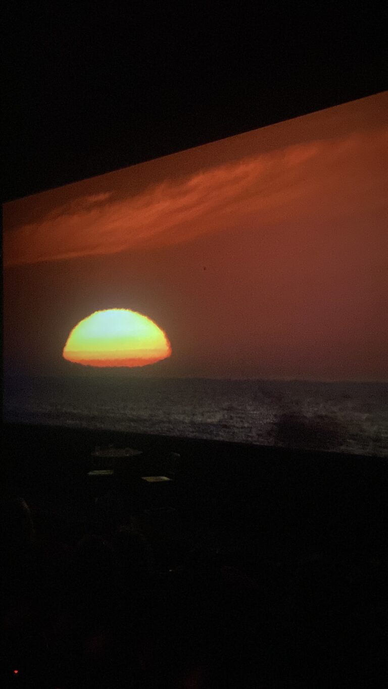 W Cinema Aug 2025 (55)