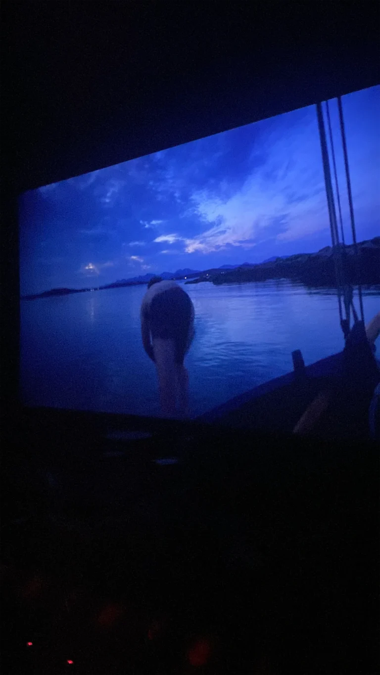 W Cinema Aug 2025 (69)_compressed