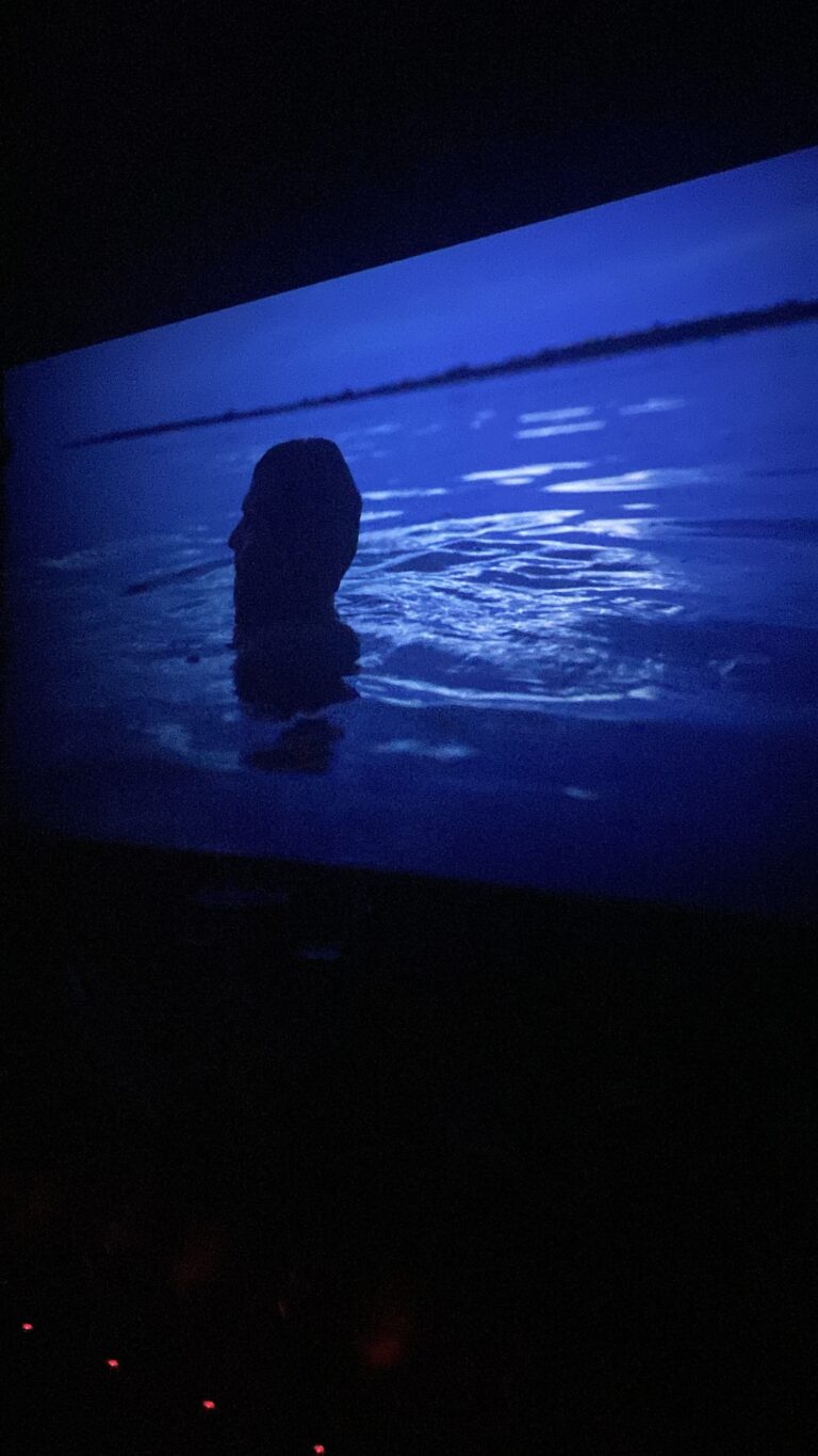 W Cinema Aug 2025 (70)