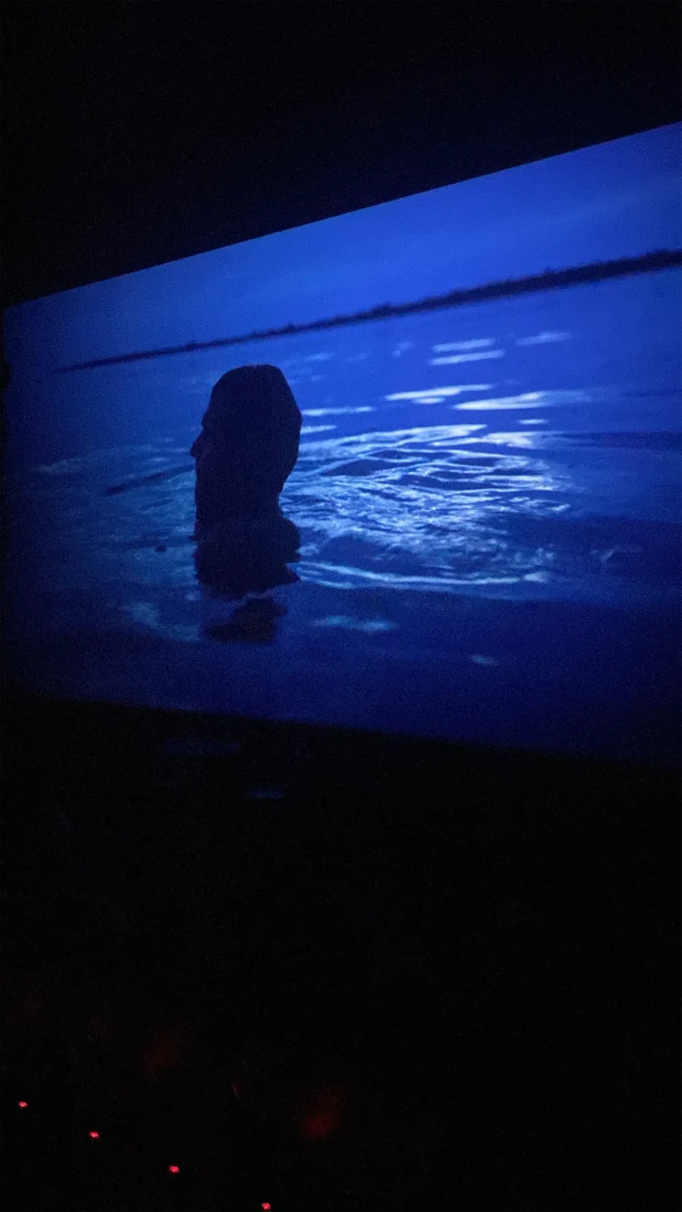 W Cinema Aug 2025 (70)_compressed