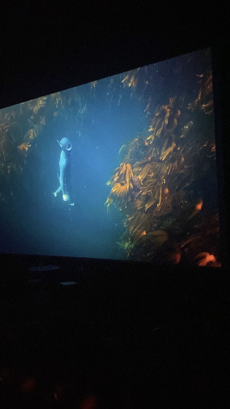 W Cinema Aug 2025 (84)