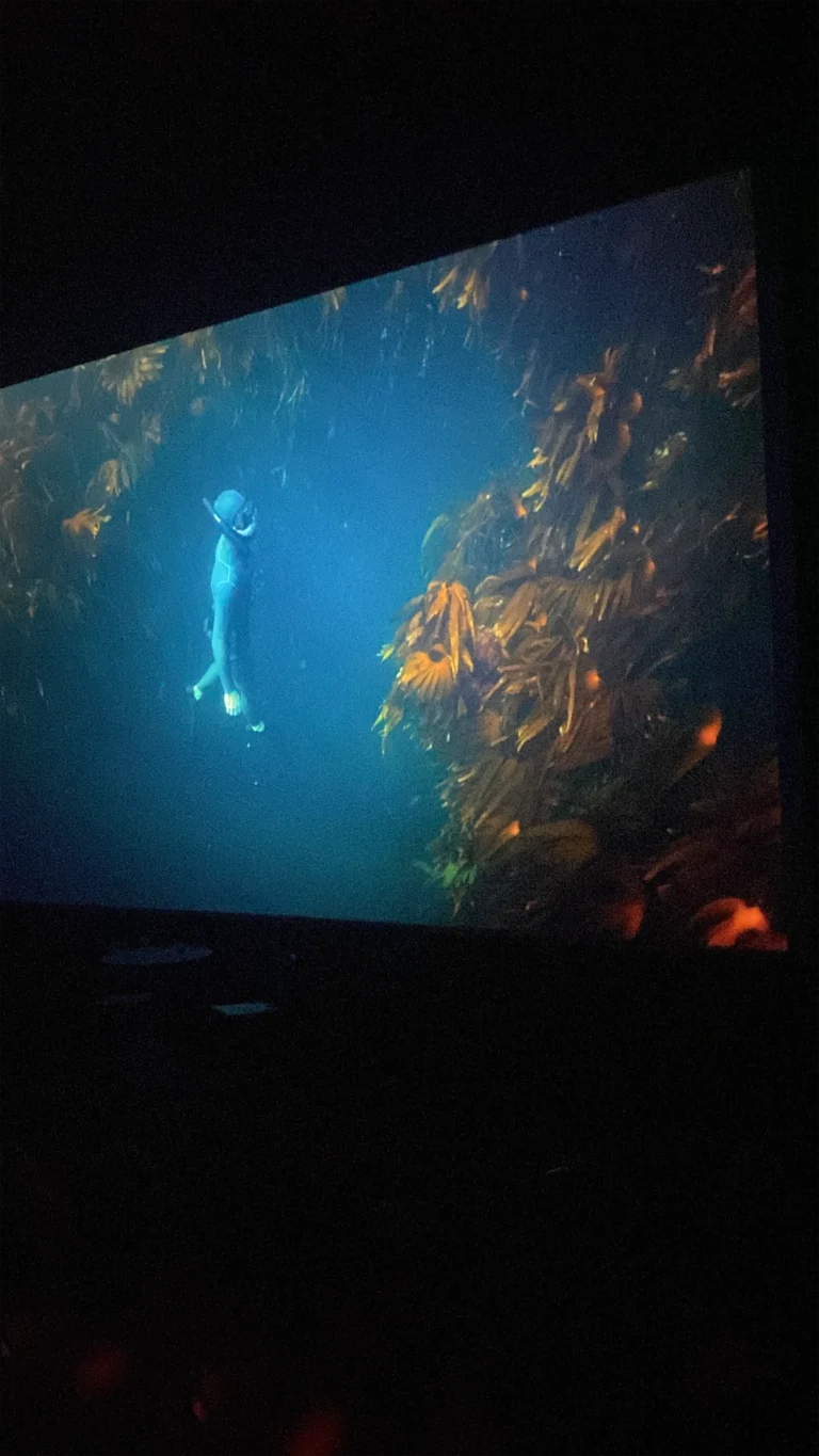 W Cinema Aug 2025 (84)_compressed