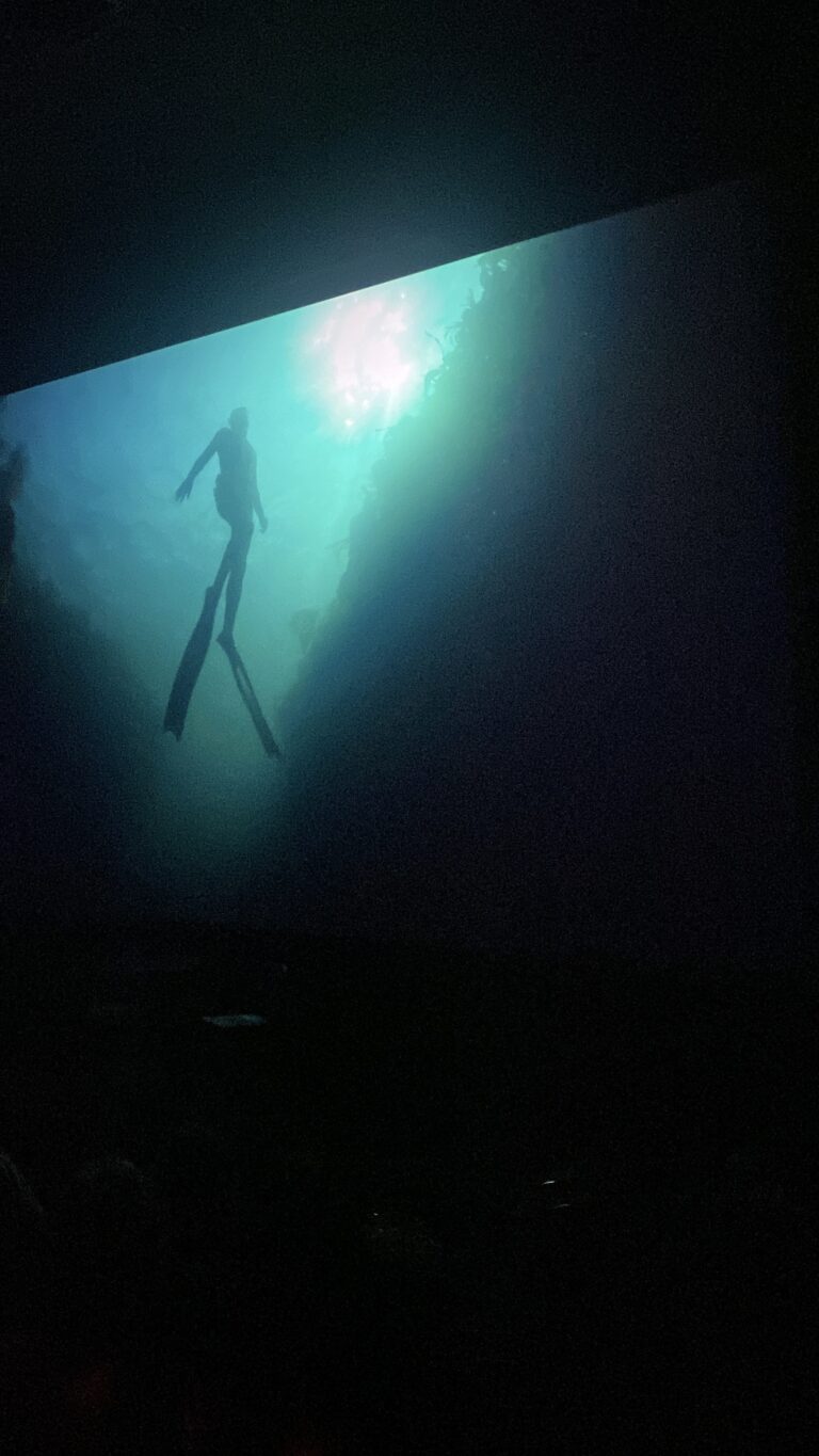 W Cinema Aug 2025 (85)