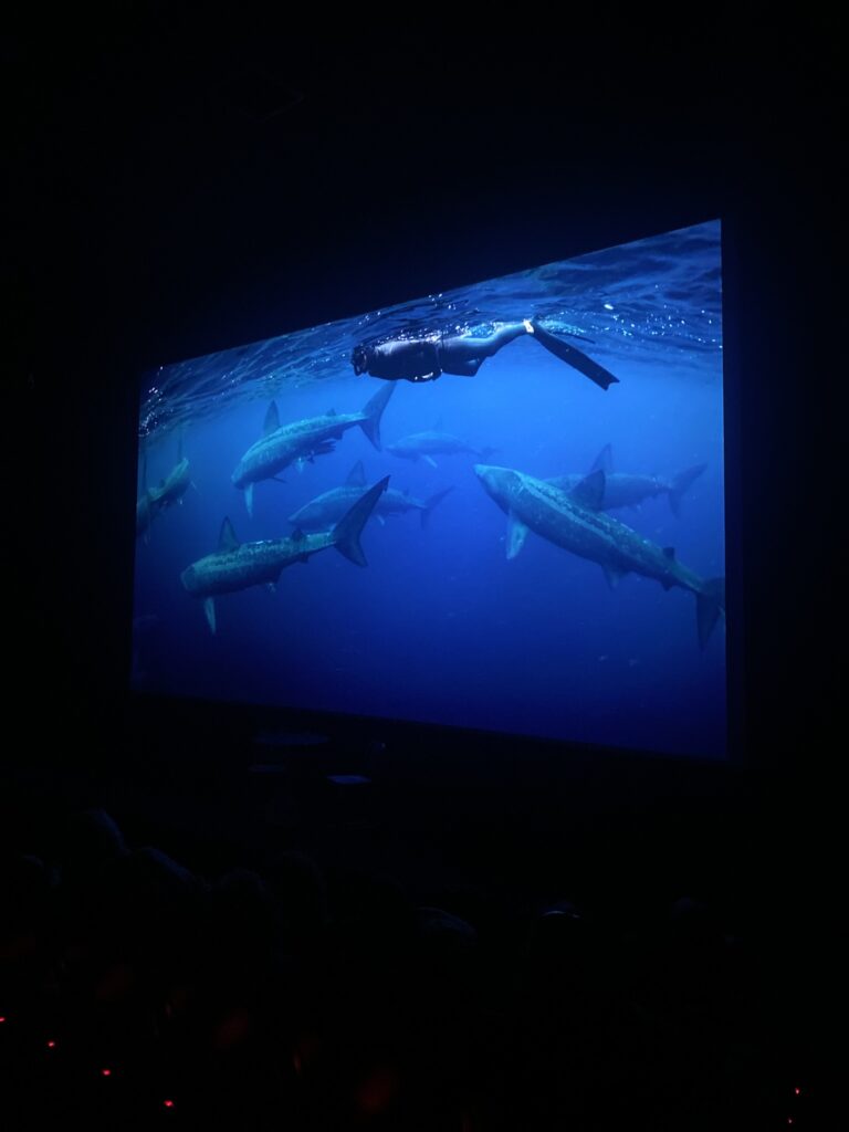 W Cinema Aug 2025 (86)