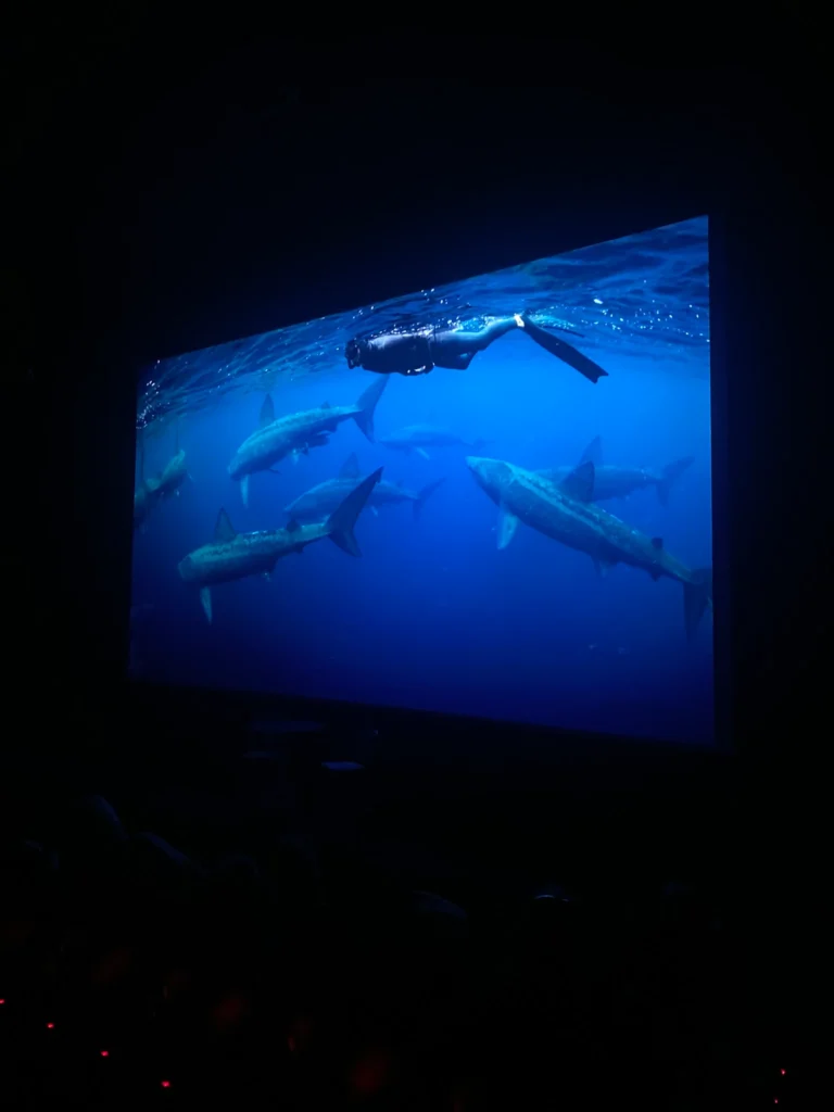 W Cinema Aug 2025 (86)_compressed