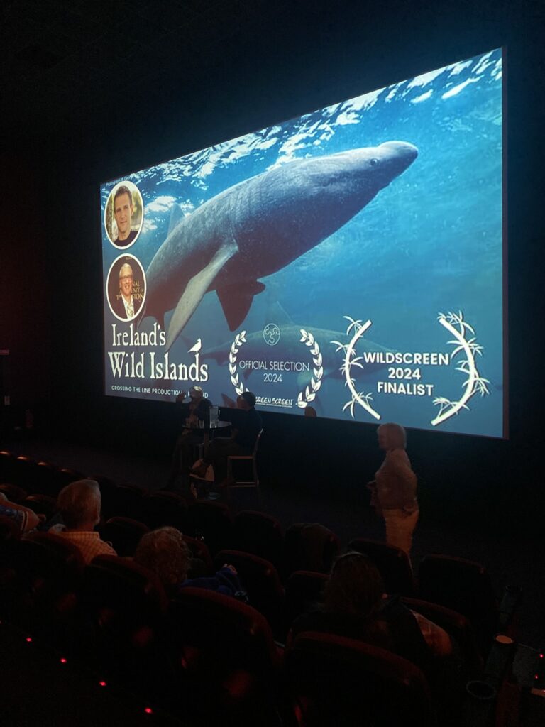 W Cinema Aug 2025 (87)