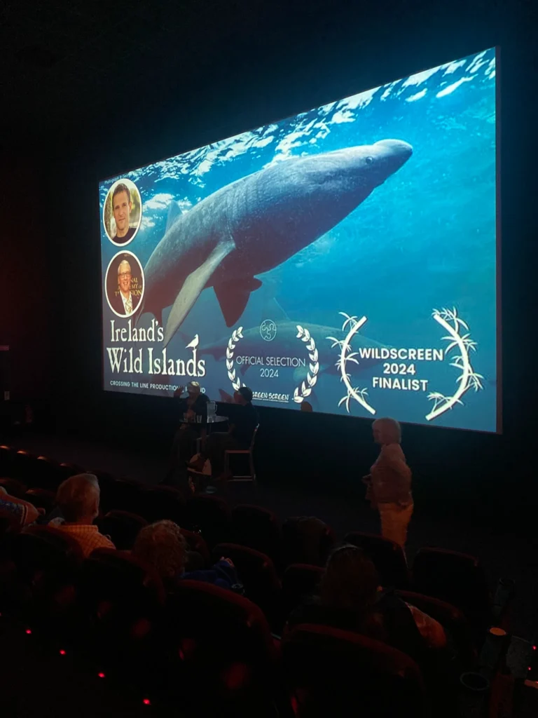 W Cinema Aug 2025 (87)_compressed