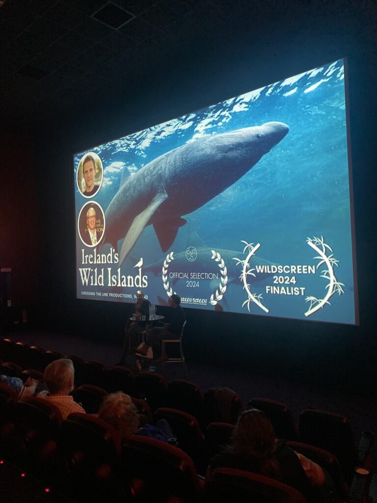 W Cinema Aug 2025 (88)