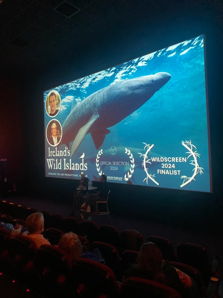 W Cinema Aug 2025 (88)_compressed