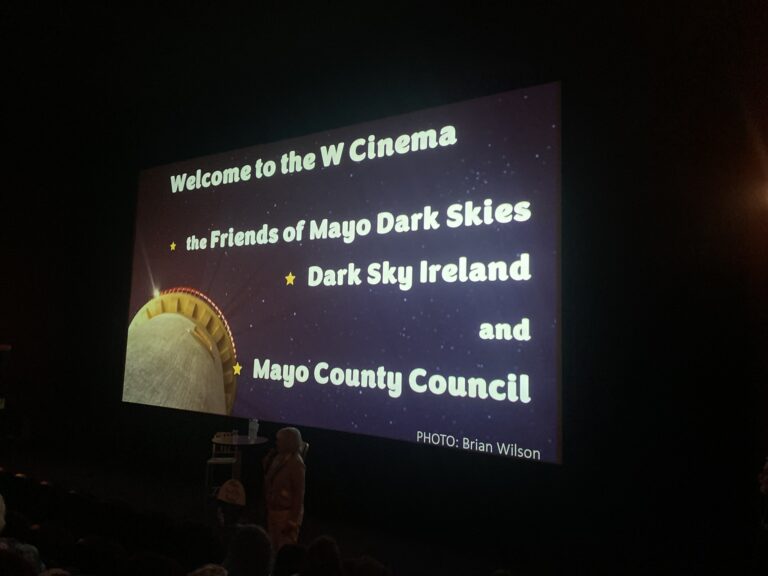 W Cinema Aug 2025 (9)