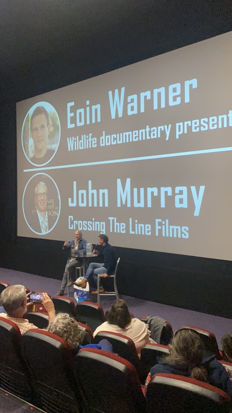 W Cinema Aug 2025 (93)