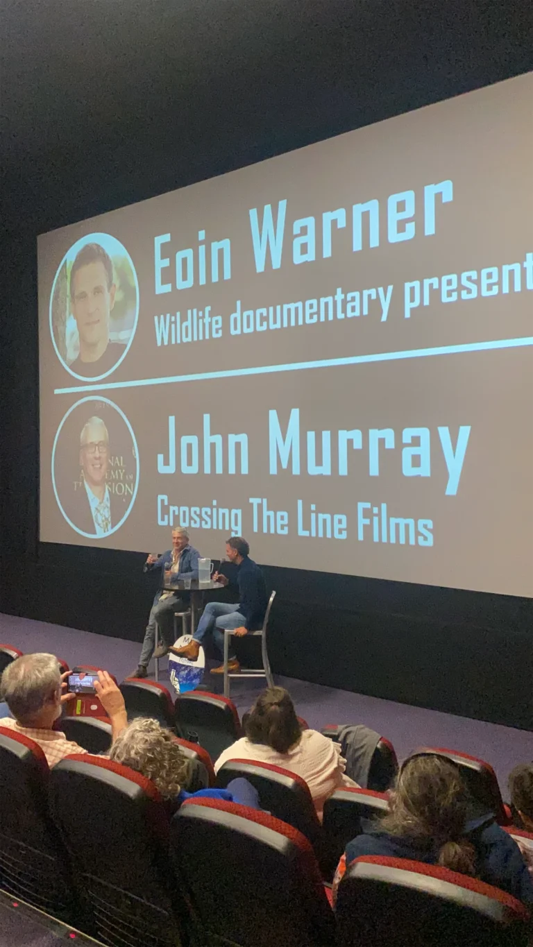 W Cinema Aug 2025 (93)_compressed