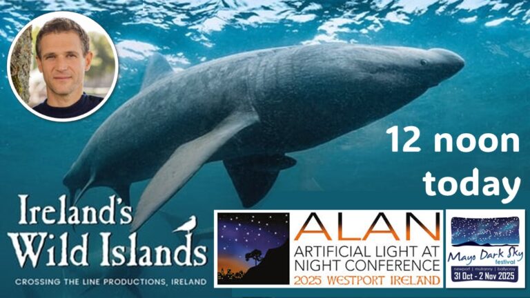 W Cinema event 2025 door sign