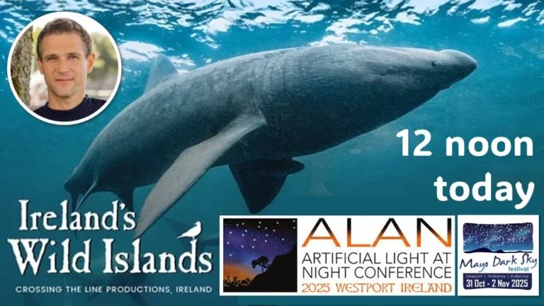 W Cinema event 2025 door sign_compressed