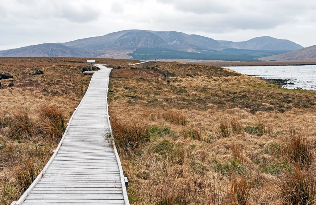 Wooden boardwalk leading to scenic mountain view at Mayo Dark Sky Festival, Ireland. Ideal for stargazing enthusiasts.